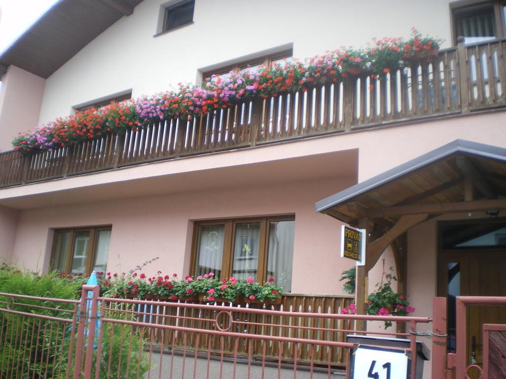 Nová LesnáGaestehaus Evaアパートメント 部屋 写真